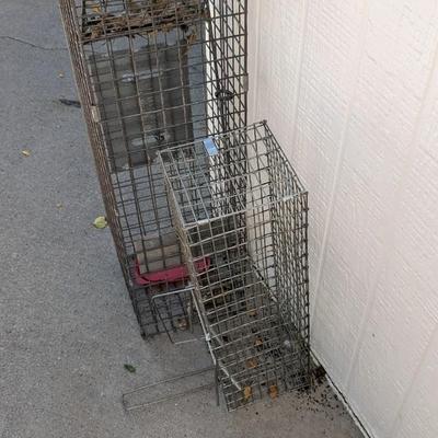 Live Traps