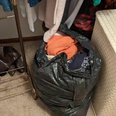 Contents of Main Closet (Right Side)