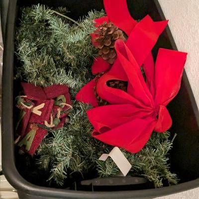 Christmas Flora and Lights