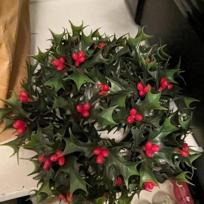 Christmas Flora and Lights