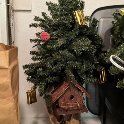 Christmas Flora and Lights