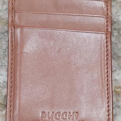 48: Brown Leather Pucchi Card Wallet