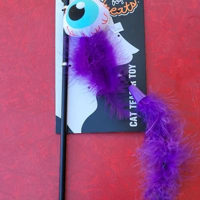 65: New Cat Teaser Toy