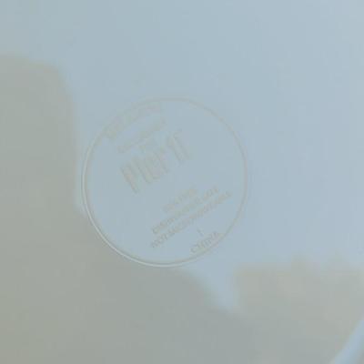 114: (2) Plastic Dog Theme Plate