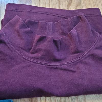 172: (2) Sleeveless Turtlenecks and One Long Sleeve