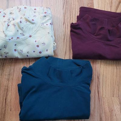 172: (2) Sleeveless Turtlenecks and One Long Sleeve