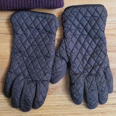 175: (2) Pairs of Gloves and Carhart Winter Hat
