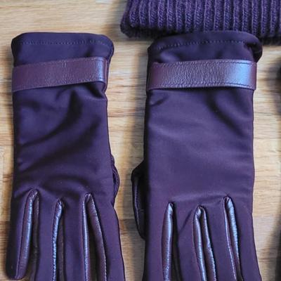 175: (2) Pairs of Gloves and Carhart Winter Hat