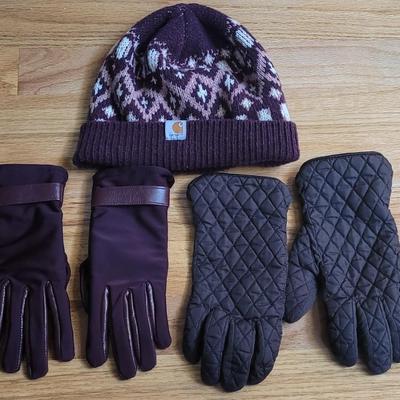 175: (2) Pairs of Gloves and Carhart Winter Hat