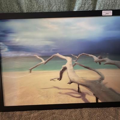 22" X 30"  Beach Driftwood Artwork