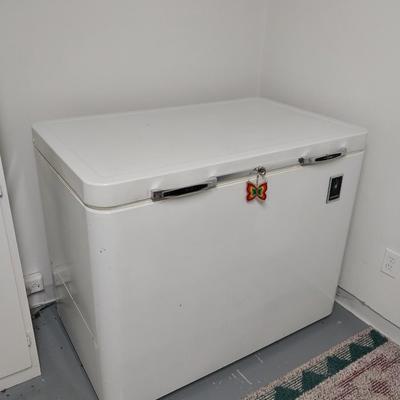 RETRO WORKING FREEZER