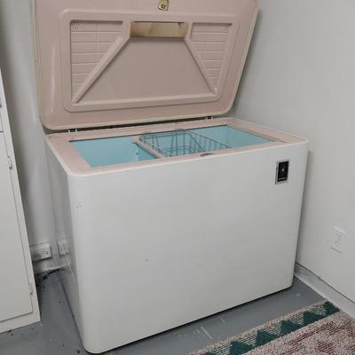 RETRO WORKING FREEZER