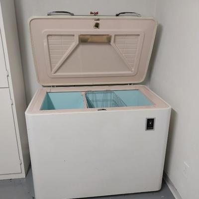 RETRO WORKING FREEZER