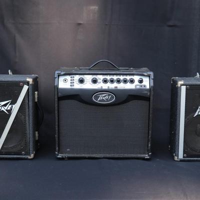 Set of Peavey Speakers and Combo Amp