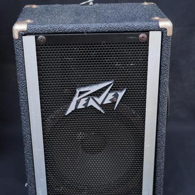 Set of Peavey Speakers and Combo Amp