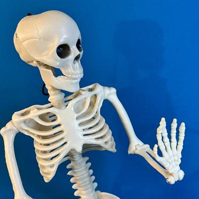 HANGING POSABLE SKELETON DECORATION 