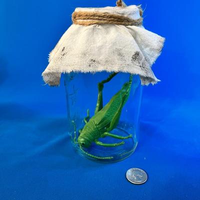 WITCHâ€™S SPECIMEN JAR w/ BIG GRASSHOPPER AND RUSTIC COVER
