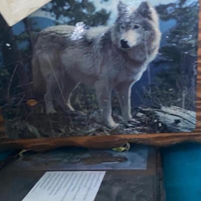 Nearly entire estate. Click here to see Some items. But more photos to come