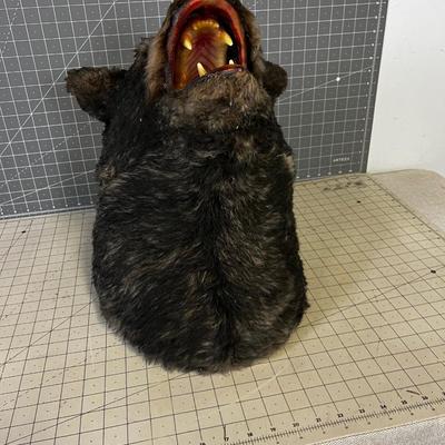Vegan Bear Head