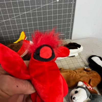 30 or All the BEANIE Babies in the WORLD
