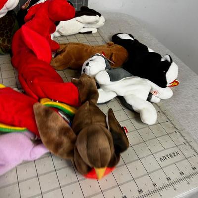 30 or All the BEANIE Babies in the WORLD