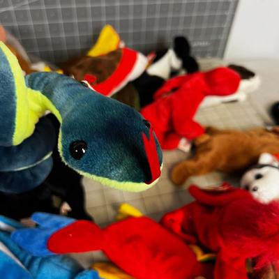 30 or All the BEANIE Babies in the WORLD