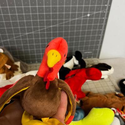 30 or All the BEANIE Babies in the WORLD