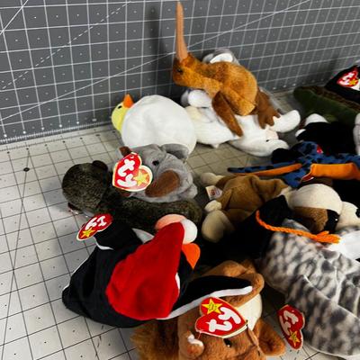 30 or All the BEANIE Babies in the WORLD