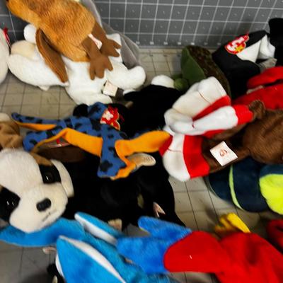 30 or All the BEANIE Babies in the WORLD