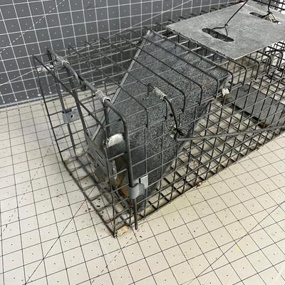 Live Trap 