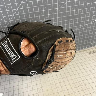 Spalding 12-1/2" Glove 