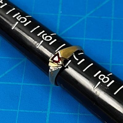 14 K Gold with Small Cut Ruby Triangle Gem Stone