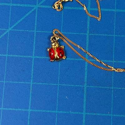 10 K Gold Chain with Lady Bug Pendant