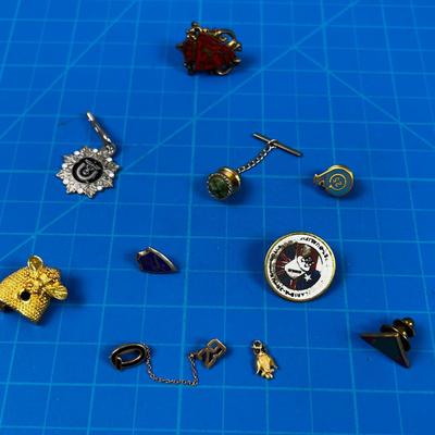 Collection of Pins. Various old and New. 