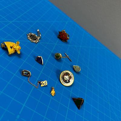 Collection of Pins. Various old and New. 