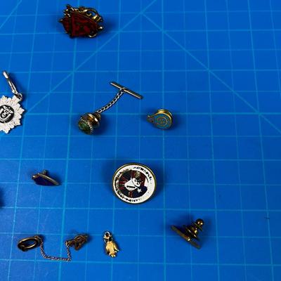 Collection of Pins. Various old and New. 