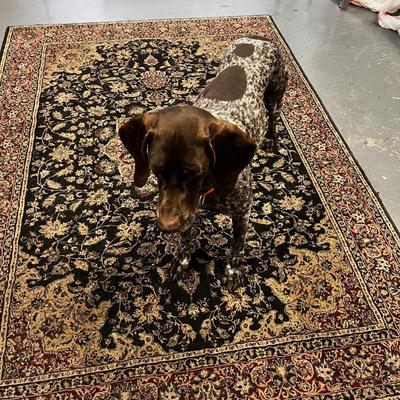 BLACK Rug and Runner Matching