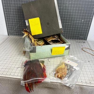 Box full of OLD FEATHERS 