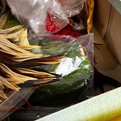Box full of OLD FEATHERS 