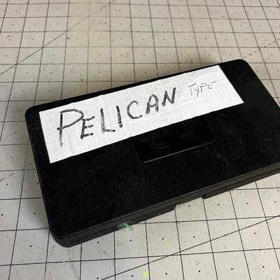 Streamers, Poppers, Bug all Hand Tied in a case