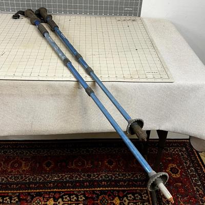 2 Trekking Poles- Adjustable for hiking. 