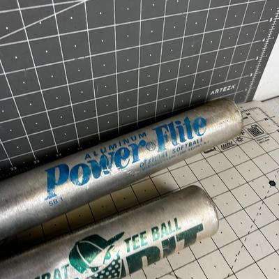 2 Aluminum Baseball  Bats 