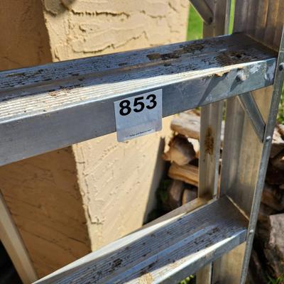 Werner Job Master 8 ft. ladder Model 368