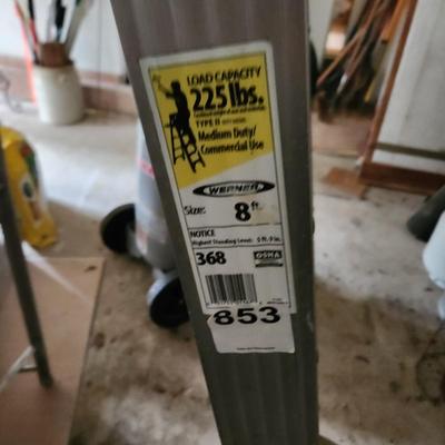 Werner Job Master 8 ft. ladder Model 368