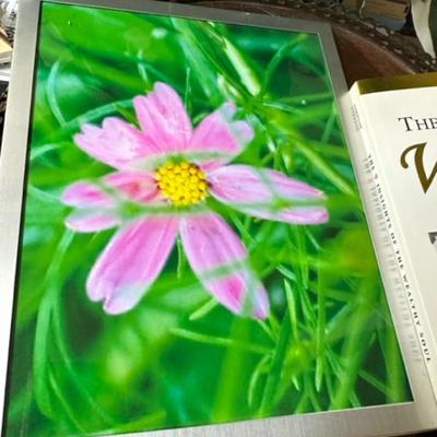 Framed flower photo and a Wealthy Soul