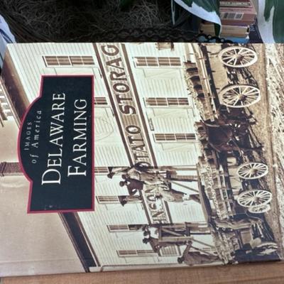 Delaware's forgotten