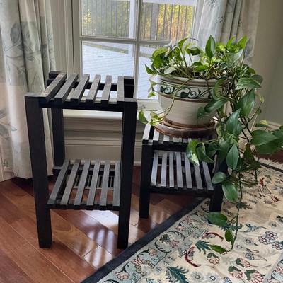 MB-1034 Pair of Wooden Plant Stands with Pathos Plant