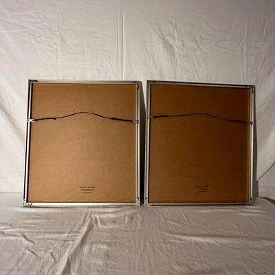 Modern Lamp & Pair of Framed Floral Prints (LR-RG)