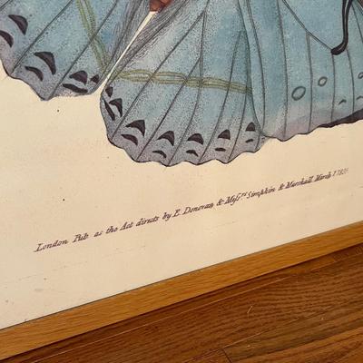 Edward Donovan Butterfly Print, Baskets & Pillow (PS-RG)