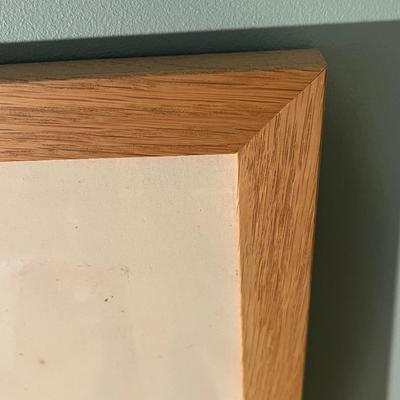 Edward Donovan Butterfly Print, Baskets & Pillow (PS-RG)